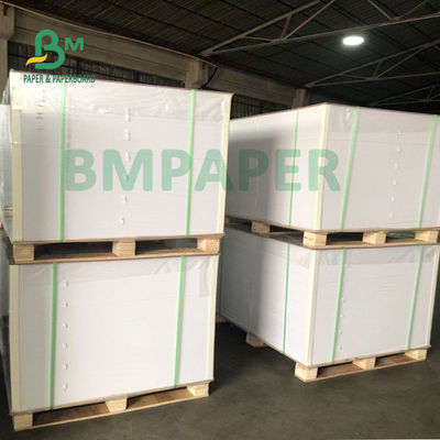 Giấy tráng PE một mặt 180gsm + 15gsm với độ dẻo tốt