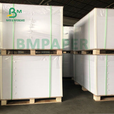 Giấy tráng PE một mặt 180gsm + 15gsm với độ dẻo tốt