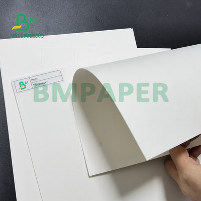 Tấm lót bia 230gsm - 450gsm với hiệu ứng in tốt Bề mặt nhẵn