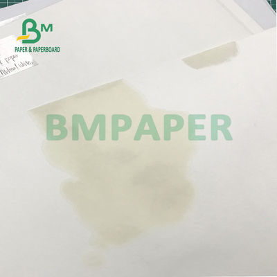 Tấm lót bia 230gsm - 450gsm với hiệu ứng in tốt Bề mặt nhẵn