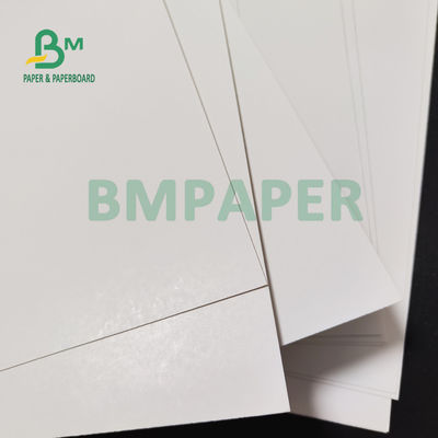 Cuộn giấy đông lạnh trắng 325gsm 350gsm cho bao bì thực phẩm đông lạnh 37 "X 25" số lượng lớn