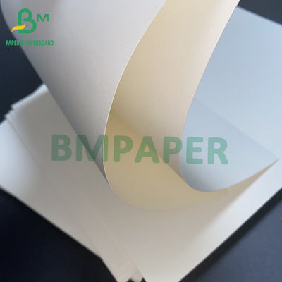 15g PE tráng 1 mặt cốc Bảng giấy chứng khoán cho cốc uống nóng cốc uống lạnh