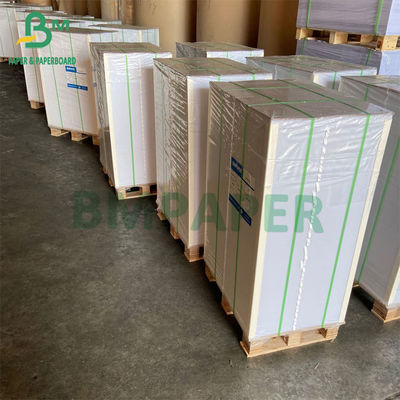 15g PE tráng 1 mặt cốc Bảng giấy chứng khoán cho cốc uống nóng cốc uống lạnh