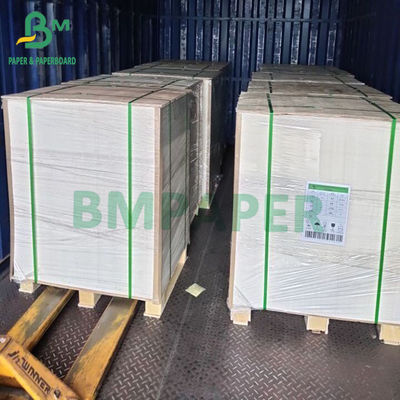 15g PE tráng 1 mặt cốc Bảng giấy chứng khoán cho cốc uống nóng cốc uống lạnh