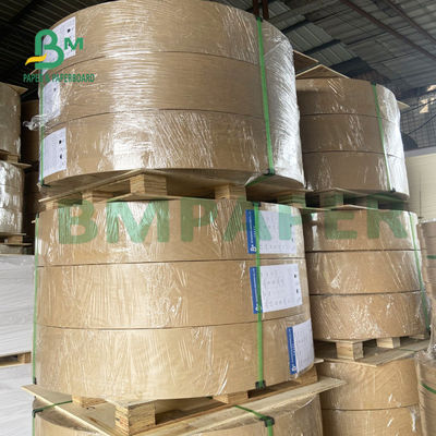 Giấy gói thực phẩm cấp thực phẩm số lượng lớn cao Một mặt tráng thân thiện với môi trường 325gsm