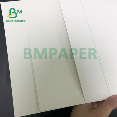 Giấy gói thực phẩm cấp thực phẩm số lượng lớn cao Một mặt tráng thân thiện với môi trường 325gsm