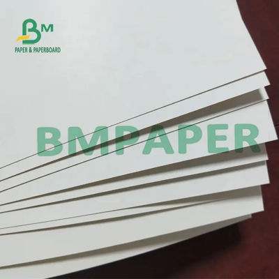 Cuộn giấy đông lạnh tráng sáng 250gsm, giấy thấm mỡ trắng để gói đồ nguội