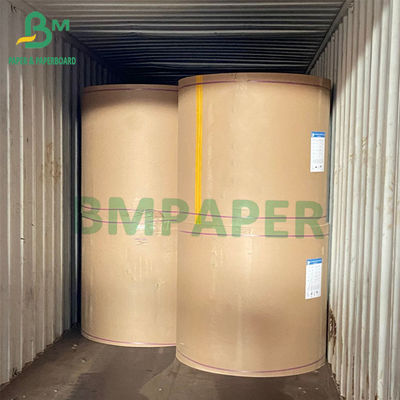 Máy sấy bột giấy nguyên chất Giấy trắng không tráng để giữ tươi 230gsm 250gsm 300gsm 330gsm
