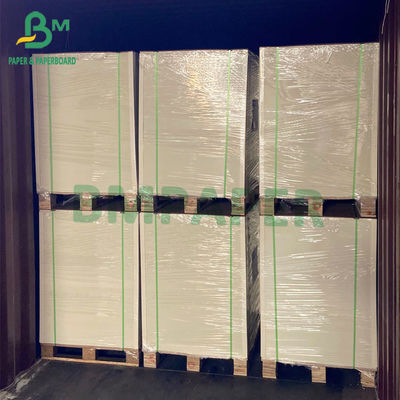 Máy sấy bột giấy nguyên chất Giấy trắng không tráng để giữ tươi 230gsm 250gsm 300gsm 330gsm