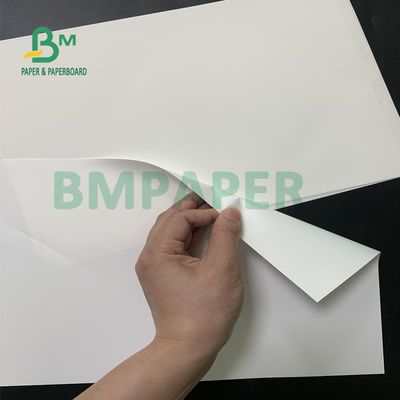 Giấy tổng hợp màu trắng bóng, Giấy dán PET không thấm nước để in