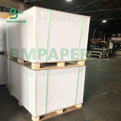 Giấy tổng hợp màu trắng bóng, Giấy dán PET không thấm nước để in
