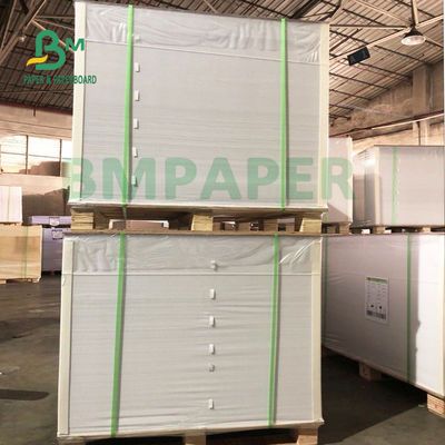 Giấy tổng hợp PP 180um, Giấy chống rách không thấm nước cho quảng cáo ngoài trời