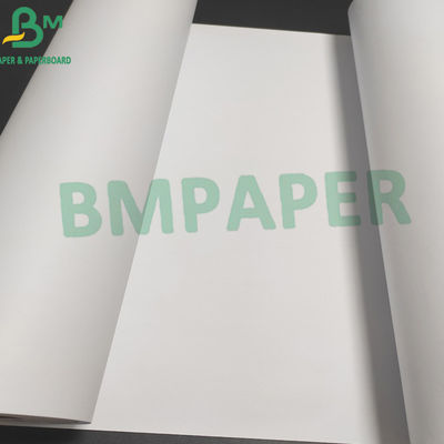 In đồ họa Cuộn giấy Plotter trắng, Giấy phác thảo kiến ​​trúc #20