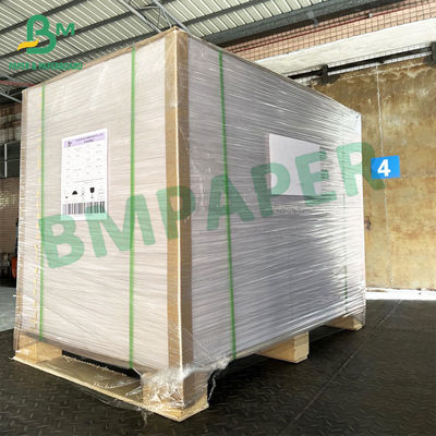 250g + 15g Giấy tráng PE cho đĩa giấy Cốc bát Bộ đồ ăn