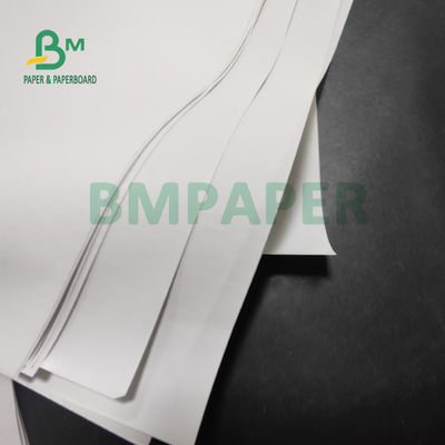 Giấy nhiệt cuộn Jumbo 55gsm cho máy in POS 565mm X 6000m