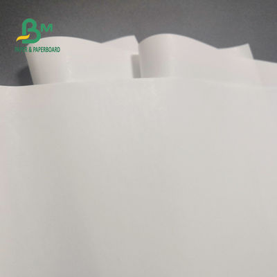 Cuộn giấy nhiệt miễn phí 65gsm BPA cho máy tính tiền Hình ảnh rõ nét 600mm X 9000m