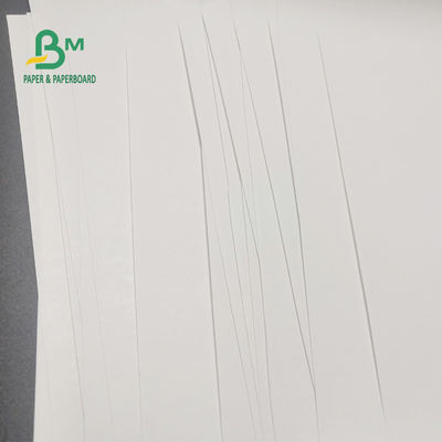 Cuộn giấy nhiệt miễn phí 65gsm BPA cho máy tính tiền Hình ảnh rõ nét 600mm X 9000m