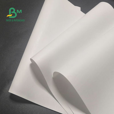 Cuộn giấy nhiệt miễn phí 65gsm BPA cho máy tính tiền Hình ảnh rõ nét 600mm X 9000m