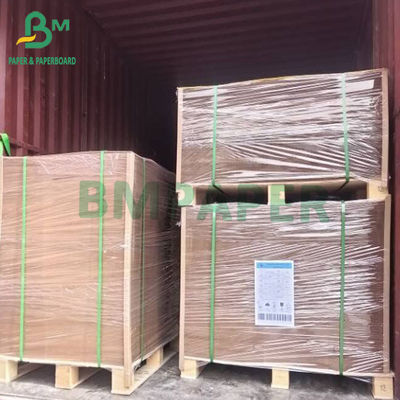 Các tông màu nâu cấp thực phẩm cho hộp ăn trưa 230g + 15gPE 350g + 15gPE