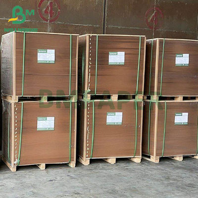 Các tông màu nâu cấp thực phẩm cho hộp ăn trưa 230g + 15gPE 350g + 15gPE