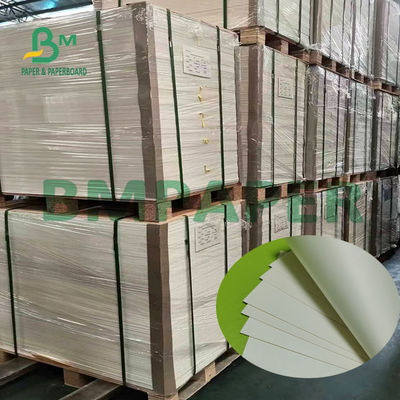 Tấm giấy trắng tự nhiên cốc trắng 180g Một mặt PE tráng bề mặt nhẵn