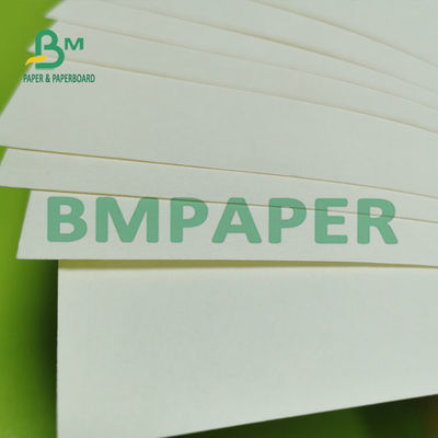 Tấm giấy trắng tự nhiên cốc trắng 180g Một mặt PE tráng bề mặt nhẵn