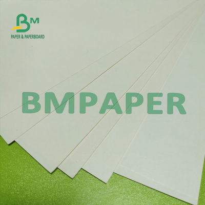 Tấm giấy trắng tự nhiên cốc trắng 180g Một mặt PE tráng bề mặt nhẵn