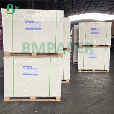 Giấy đông lạnh cuộn 250gsm 420 Micron được tráng một mặt cho bao bì thực phẩm