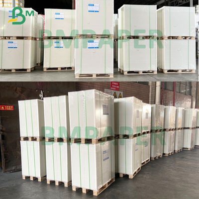 Giấy đông lạnh cuộn 250gsm 420 Micron được tráng một mặt cho bao bì thực phẩm