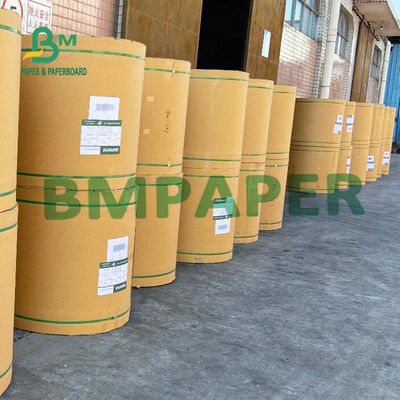 Giấy thấm thấm 230 gsm không tráng cho đế lót ly thấm nước