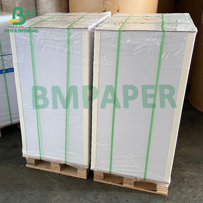 250g + 15g Giấy tráng PE cho đĩa giấy Cốc bát Bộ đồ ăn