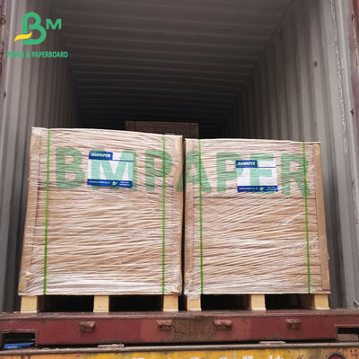 Cấp thực phẩm Bảng giấy trắng 100gsm cho vật liệu cốc hình nón