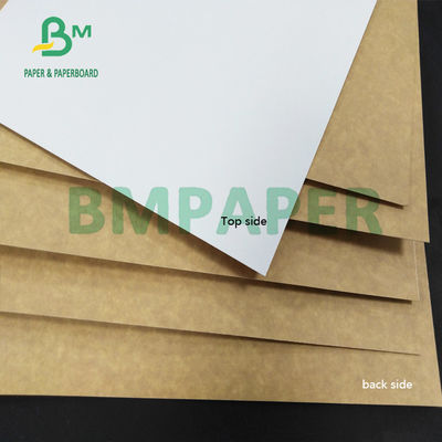325gsm CCK Đất sét tráng phủ giấy kraft chống ẩm cho hộp các tông gấp