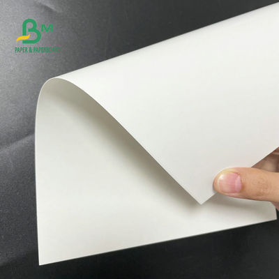 Giấy cuộn tủ đông 30 X 40 inch 12pt 14pt 18pt Trắng C1S Artboard để đóng gói thực phẩm