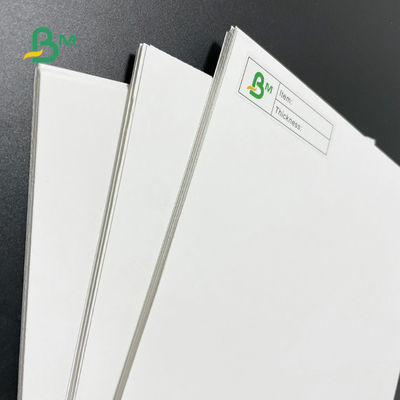 Giấy cuộn tủ đông 30 X 40 inch 12pt 14pt 18pt Trắng C1S Artboard để đóng gói thực phẩm