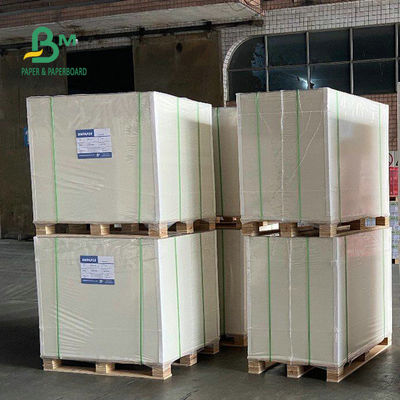 Giấy cuộn tủ đông 30 X 40 inch 12pt 14pt 18pt Trắng C1S Artboard để đóng gói thực phẩm