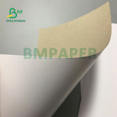 300g 350g Tấm Duplex Phủ Bề Mặt Mịn Clay Tráng Trắng Mặt Sau Màu Xám