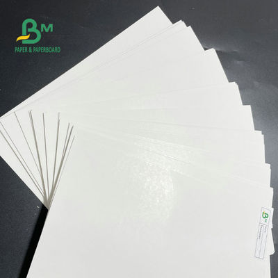 Giấy cuộn đông lạnh một mặt 275gsm 325gsm để đóng gói thực phẩm