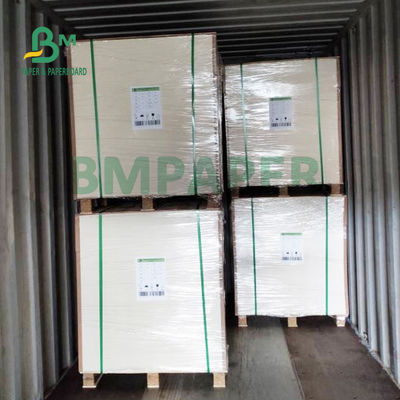 Bảng màu Bristol không tráng phủ 220gsm cho đồ thủ công DIY Bề mặt nhẵn