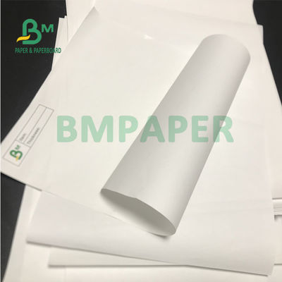 65gsm 72gsm Máy tính tiền không thấm nước Giấy in nhiệt cho siêu thị Đăng ký