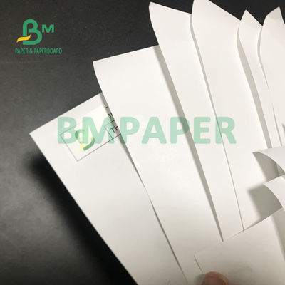 65gsm 72gsm Máy tính tiền không thấm nước Giấy in nhiệt cho siêu thị Đăng ký