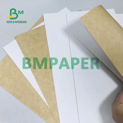 Giấy bìa CCKB cồng kềnh cao với mặt sau bằng giấy kraft màu trắng 250G 270G 300G