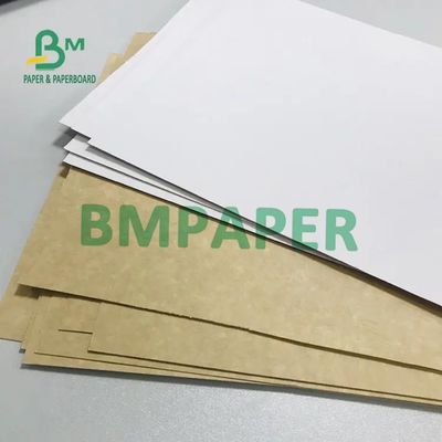 Giấy bìa CCKB cồng kềnh cao với mặt sau bằng giấy kraft màu trắng 250G 270G 300G