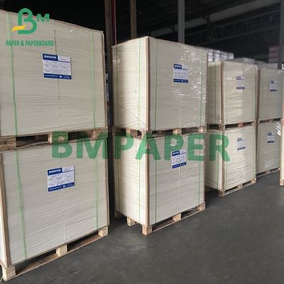 Giấy bìa CCKB cồng kềnh cao với mặt sau bằng giấy kraft màu trắng 250G 270G 300G