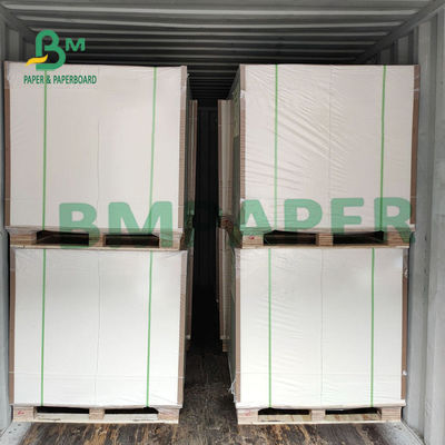 Tấm lót bia Coaster 500mm, Giấy bìa trắng 0,6mm 0,7mm 0,8mm