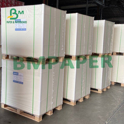 Tờ giấy vỉ 300gsm 450µM dành cho bao bì vỉ phần cứng
