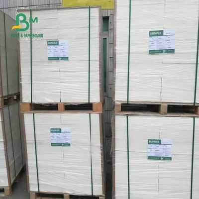 Cốc cách nhiệt Tấm giấy chứng khoán không thấm nước 1200mm 190gsm 210gsm 240gsm