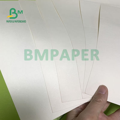 Bảng giấy chứng khoán cốc 230gsm + 18gsm An toàn Không có mùi đặc biệt cho bát mì