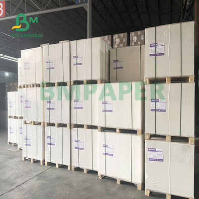 Bảng giấy chứng khoán cốc 230gsm + 18gsm An toàn Không có mùi đặc biệt cho bát mì