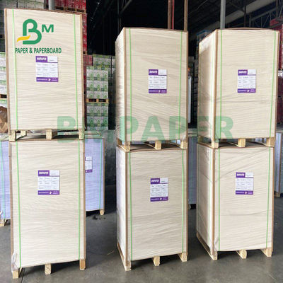PE Coated cốc giấy chứng khoán Thực phẩm không thấm nước Lớp 150gsm + 13gsm